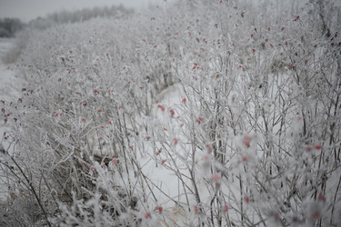 Similar image 5614797