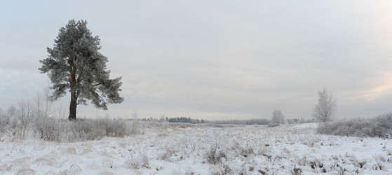 Similar image 5614800