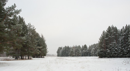 Similar image 5614801