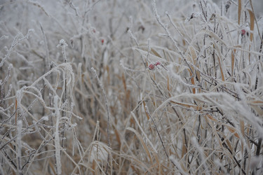 Similar image 5614826