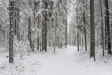 Similar image 5614827