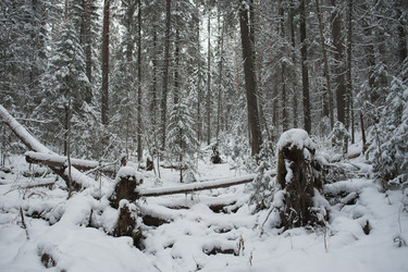 Similar image 5614829