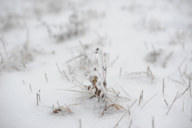 Similar image 5614830