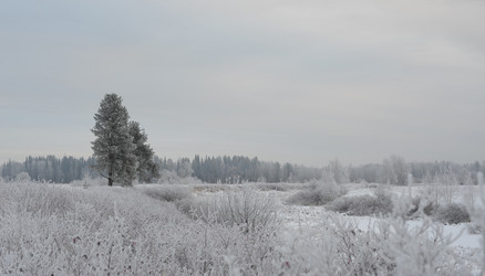 Similar image 5614832