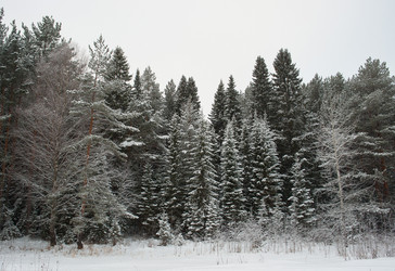 Similar image 5614838