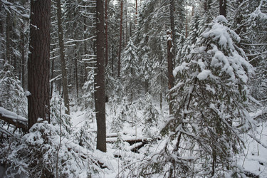 Similar image 5614849