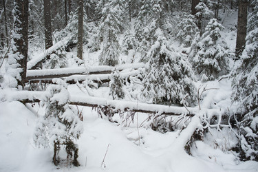 Similar image 5614852