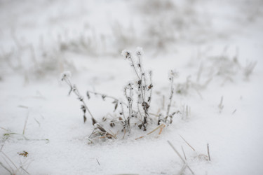 Similar image 5614853