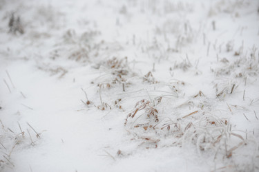 Similar image 5614854