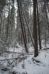 Similar image 5614856