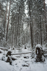 Similar image 5614858