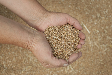 Similar image 5614867