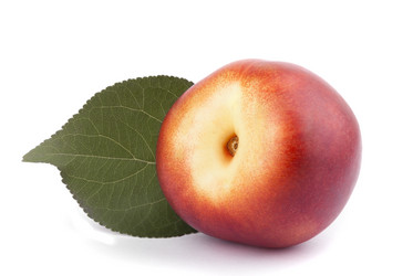 Similar image 5614873