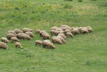 Similar image 5614889