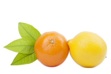 Similar image 5614921