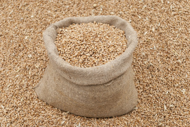 Similar image 5614924