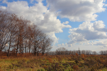 Similar image 5615011