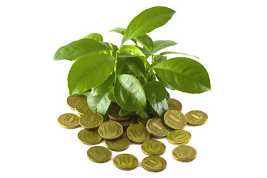 Similar image 5615061