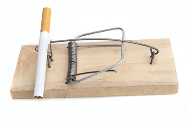 Similar image 5615373