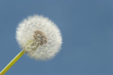 Similar image 5615374