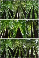 Similar image 5615667