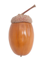 Similar image 5615700