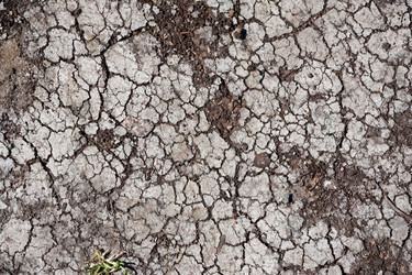 Similar image 5615706