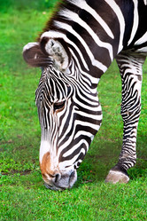 Similar image 5615707