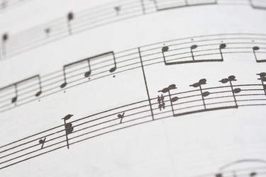 Similar image 5615709