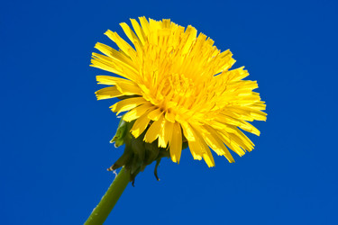 Similar image 5615716