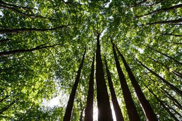 Similar image 5615719