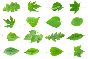 Similar image 5615746