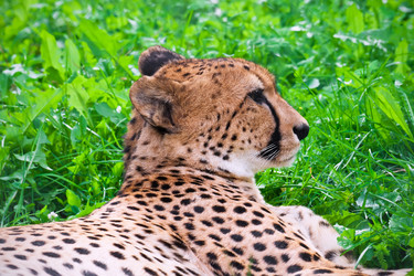 Similar image 5615747