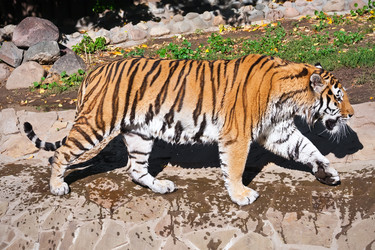 Similar image 5615751