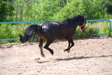 Similar image 5615756