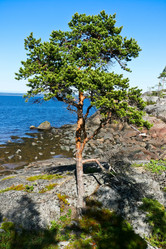 Similar image 5615759