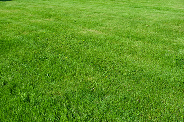 Similar image 5615771