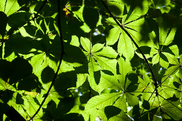 Similar image 5615787