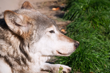 Similar image 5615889