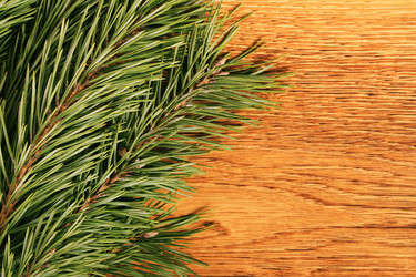 Similar image 5615920