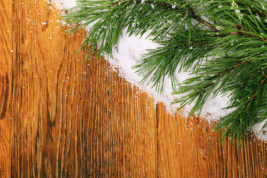 Similar image 5615921