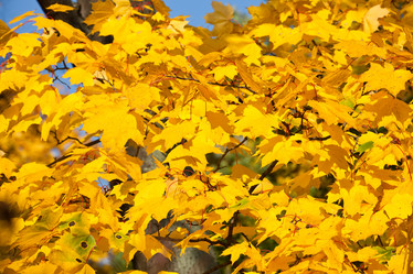 Similar image 5615929