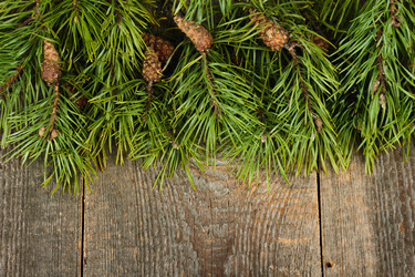 Similar image 5615969