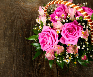 Similar image 5615976