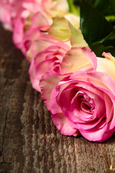 Similar image 5615977