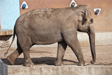 Similar image 5616044