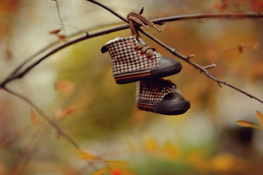 Similar image 5616132