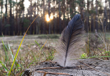 Similar image 5616186