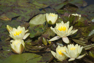 Similar image 5616191