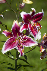 Similar image 5616192